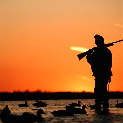 90 Hunting Quotes to Inspire You to Get Out in the Woods.